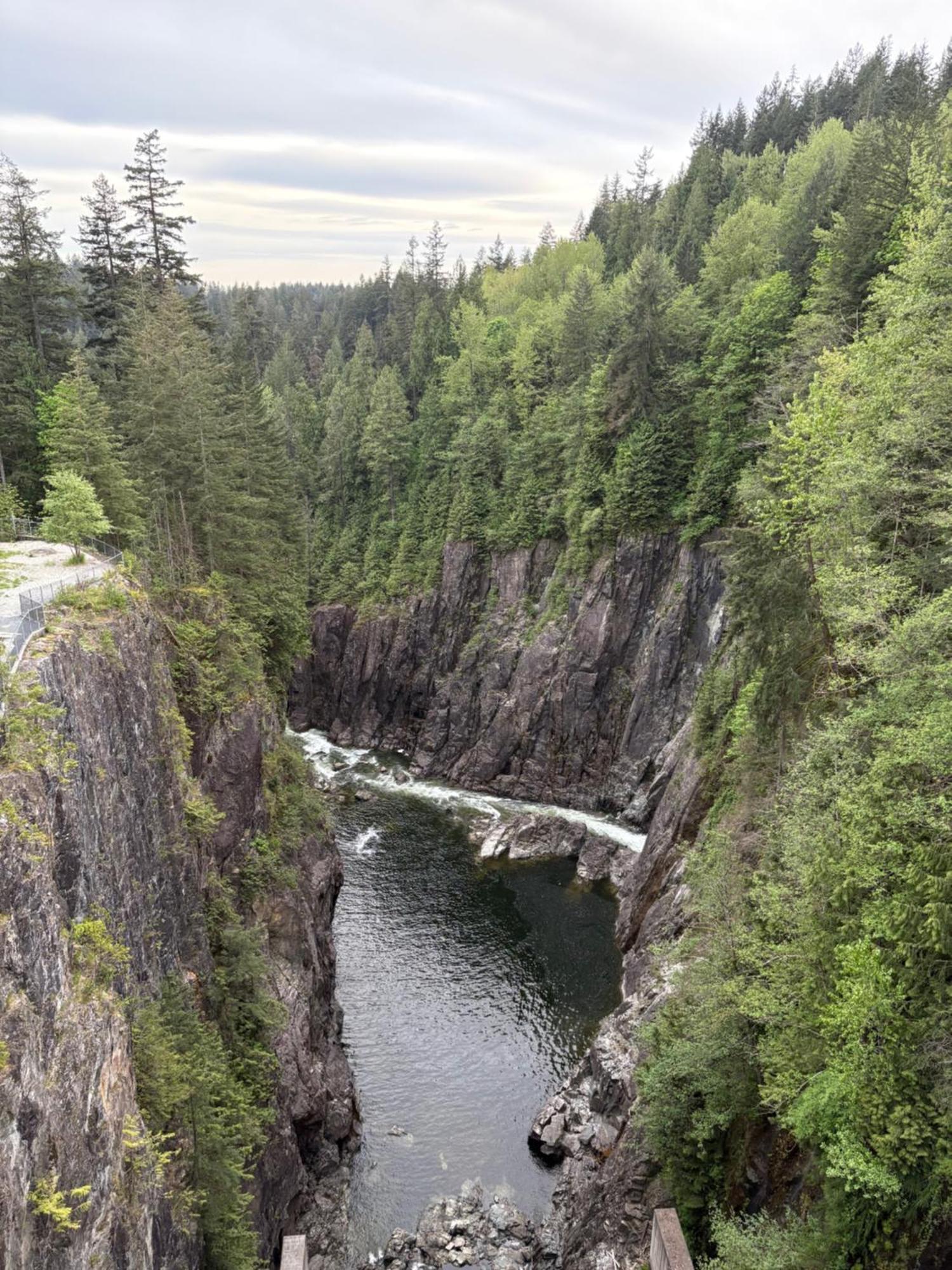 'Canyon Heights' Retreat North Vancouver Exteriér fotografie